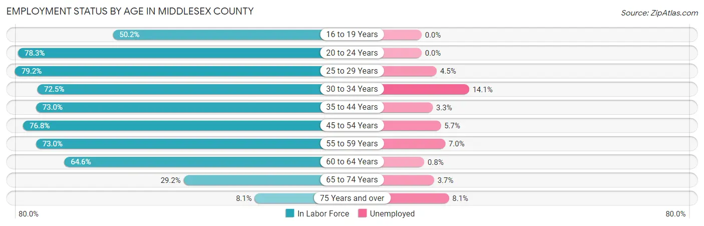 Employment Status by Age in Middlesex County