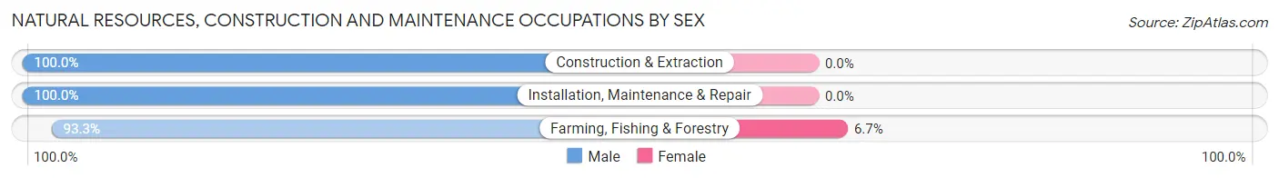 Natural Resources, Construction and Maintenance Occupations by Sex in Nelson County