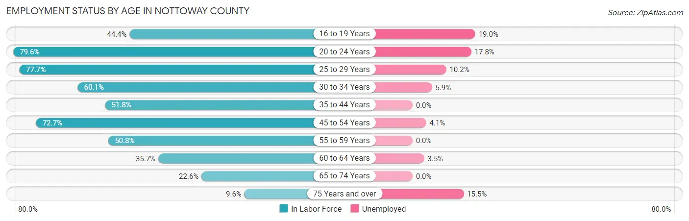 Employment Status by Age in Nottoway County