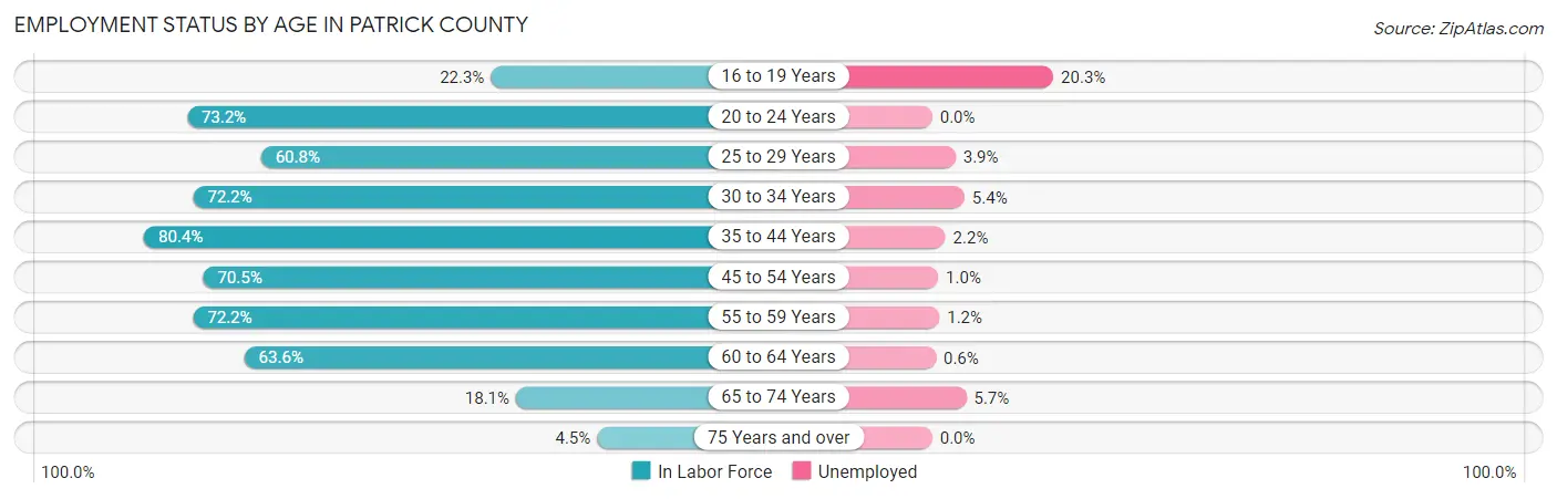 Employment Status by Age in Patrick County