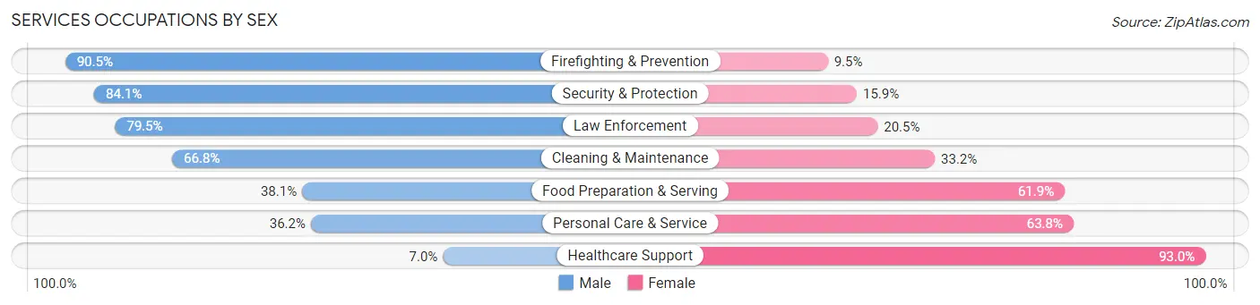 Services Occupations by Sex in Pittsylvania County