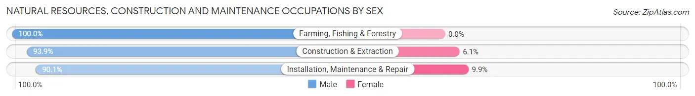 Natural Resources, Construction and Maintenance Occupations by Sex in Powhatan County