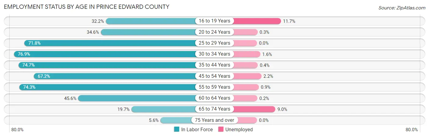 Employment Status by Age in Prince Edward County