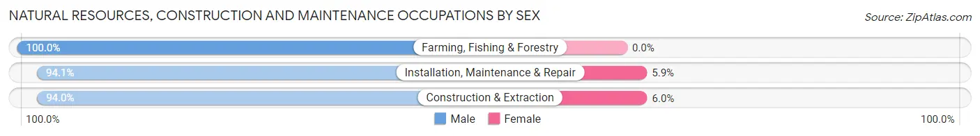 Natural Resources, Construction and Maintenance Occupations by Sex in Prince George County