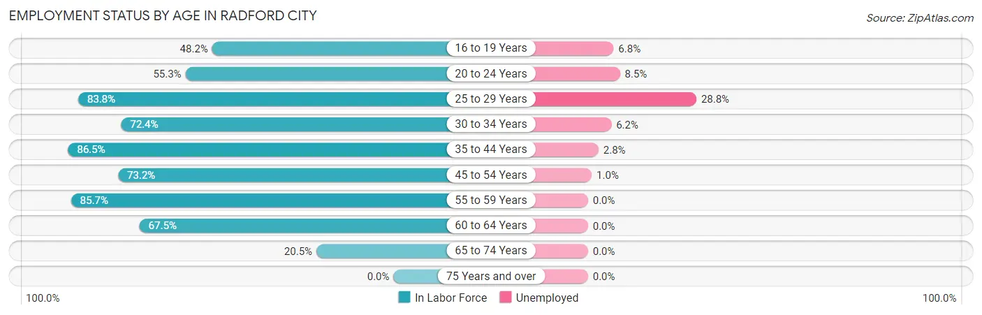 Employment Status by Age in Radford city