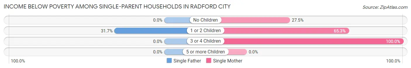 Income Below Poverty Among Single-Parent Households in Radford city
