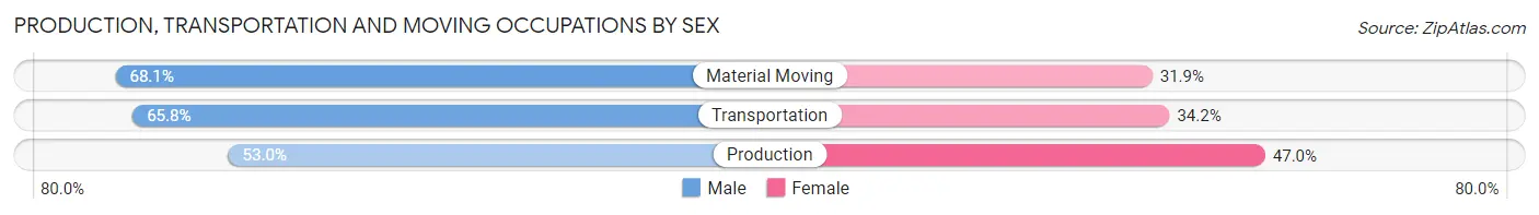 Production, Transportation and Moving Occupations by Sex in Radford city