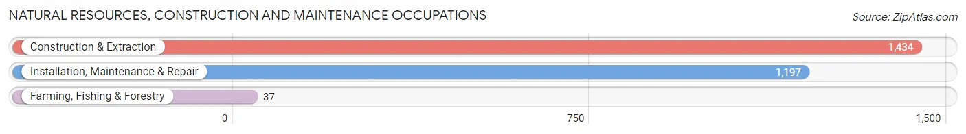 Natural Resources, Construction and Maintenance Occupations in Roanoke County