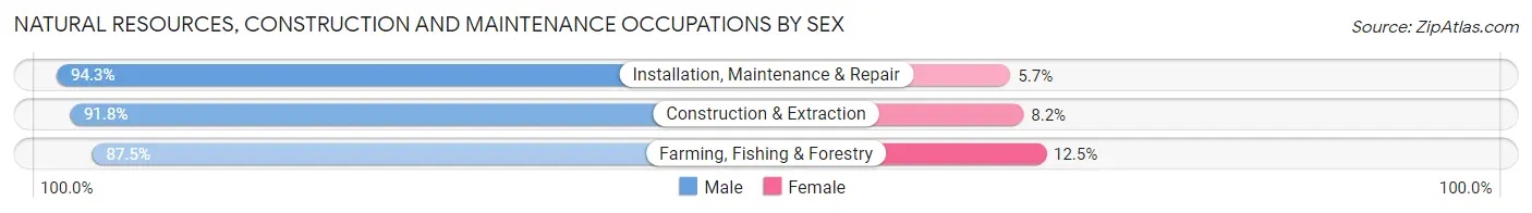 Natural Resources, Construction and Maintenance Occupations by Sex in Russell County