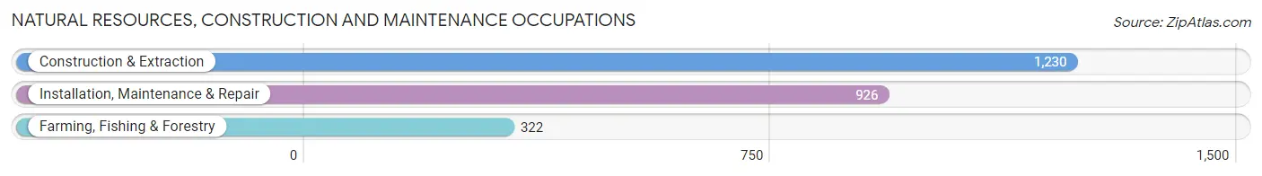 Natural Resources, Construction and Maintenance Occupations in Shenandoah County