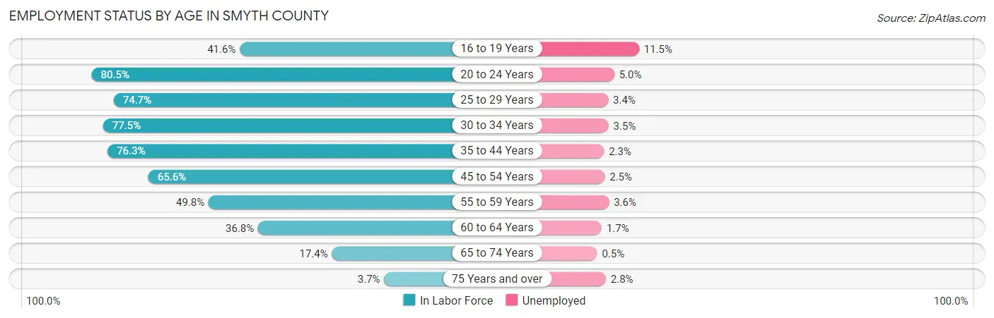 Employment Status by Age in Smyth County