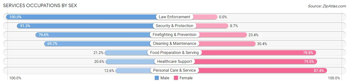 Services Occupations by Sex in Smyth County