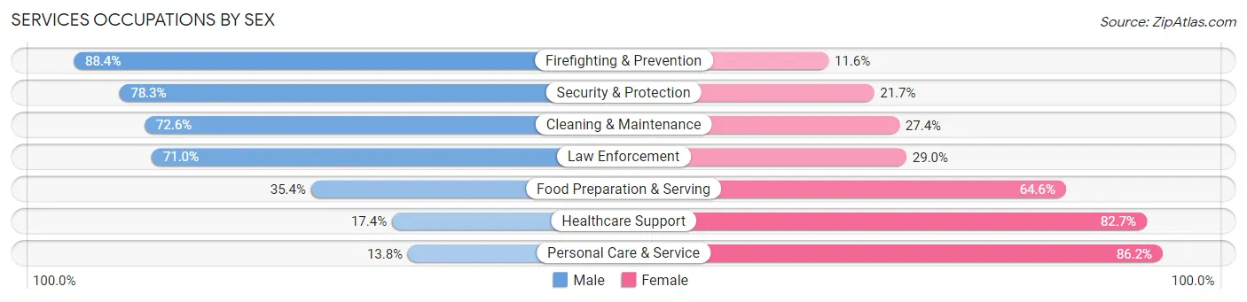 Services Occupations by Sex in Staunton city