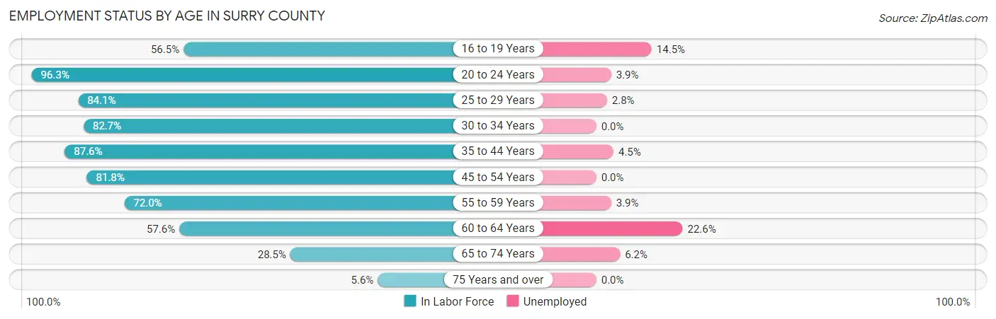 Employment Status by Age in Surry County