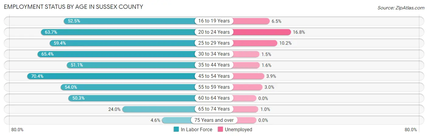 Employment Status by Age in Sussex County