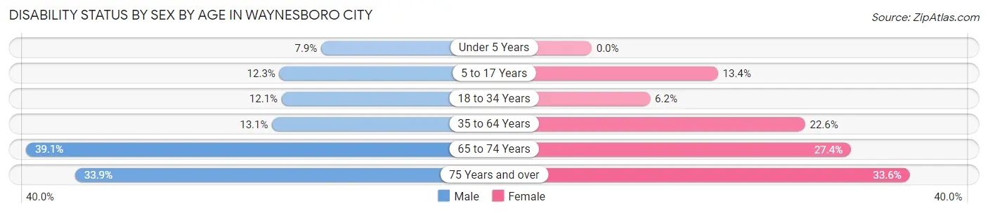 Disability Status by Sex by Age in Waynesboro city