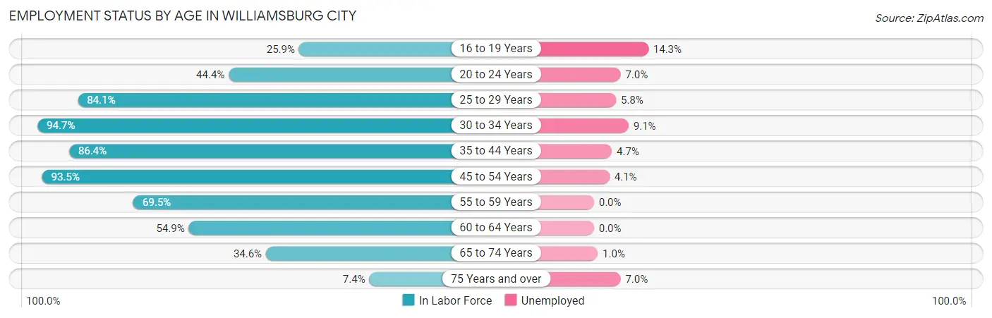 Employment Status by Age in Williamsburg City