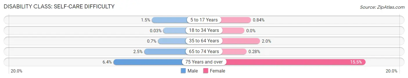 Disability in Winchester city: <span>Self-Care Difficulty</span>