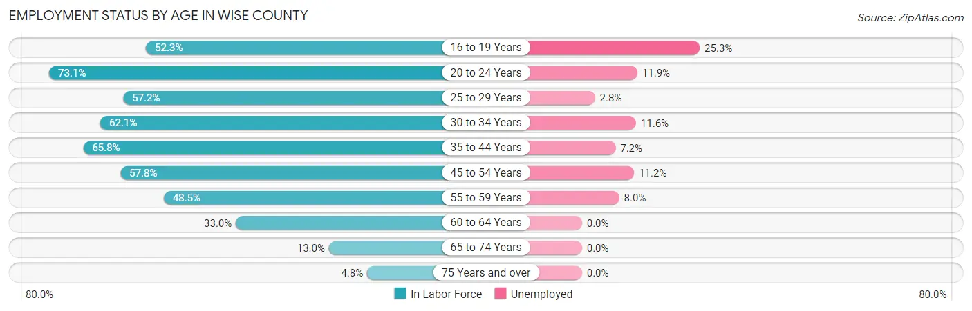 Employment Status by Age in Wise County