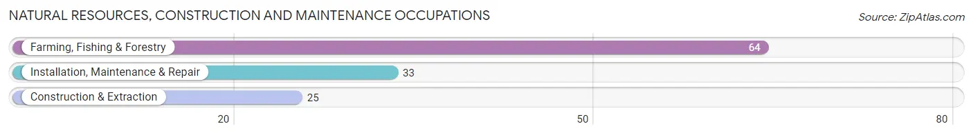 Natural Resources, Construction and Maintenance Occupations in Garfield County