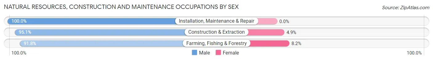 Natural Resources, Construction and Maintenance Occupations by Sex in Lincoln County
