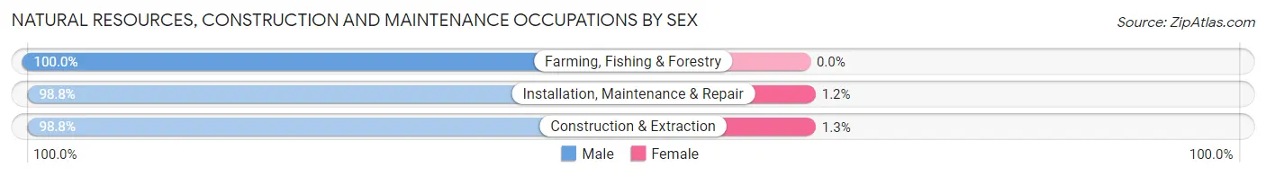 Natural Resources, Construction and Maintenance Occupations by Sex in Skamania County
