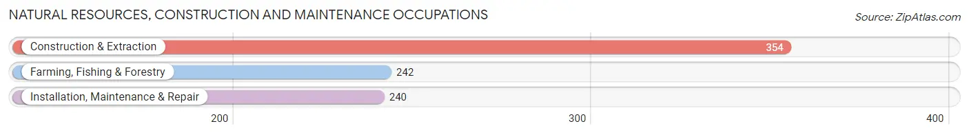 Natural Resources, Construction and Maintenance Occupations in Buffalo County