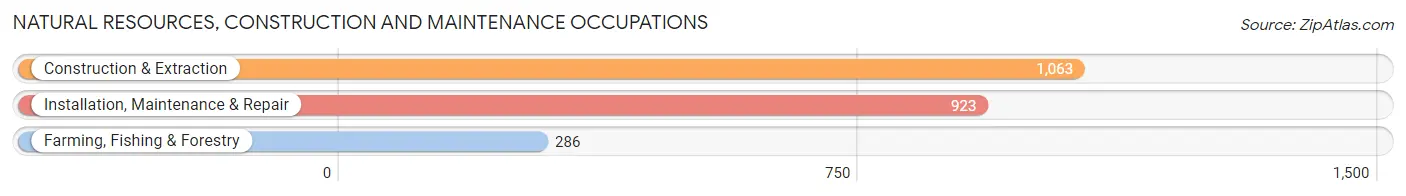 Natural Resources, Construction and Maintenance Occupations in Dunn County