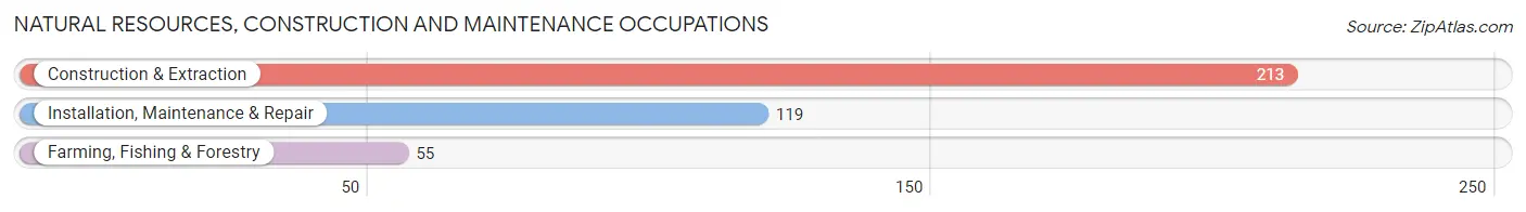 Natural Resources, Construction and Maintenance Occupations in Iron County