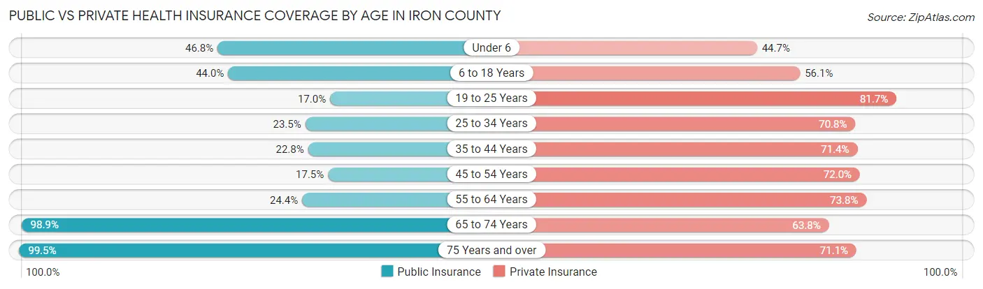 Public vs Private Health Insurance Coverage by Age in Iron County