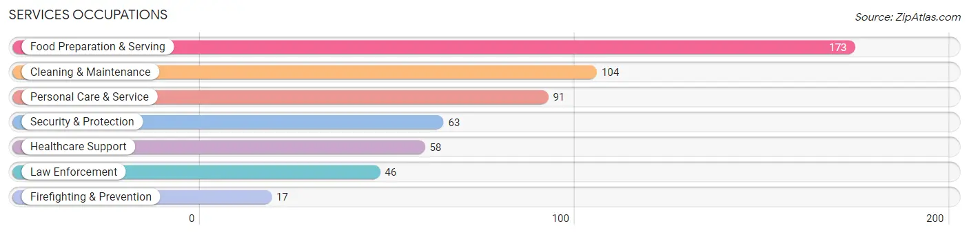 Services Occupations in Iron County