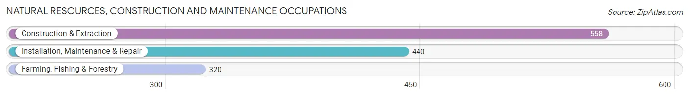 Natural Resources, Construction and Maintenance Occupations in Jackson County