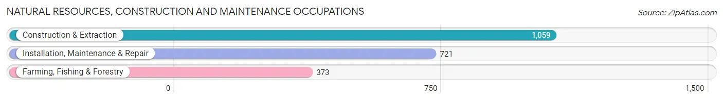 Natural Resources, Construction and Maintenance Occupations in Marinette County