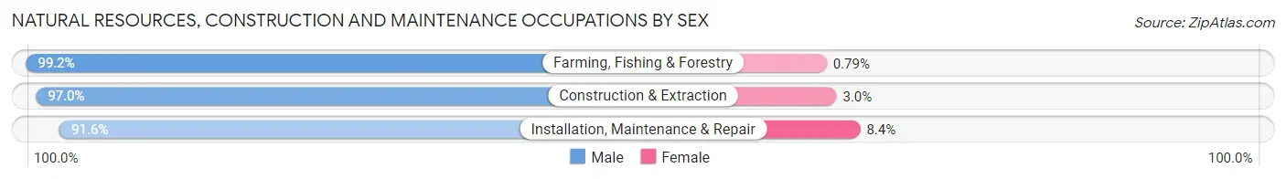 Natural Resources, Construction and Maintenance Occupations by Sex in Sawyer County