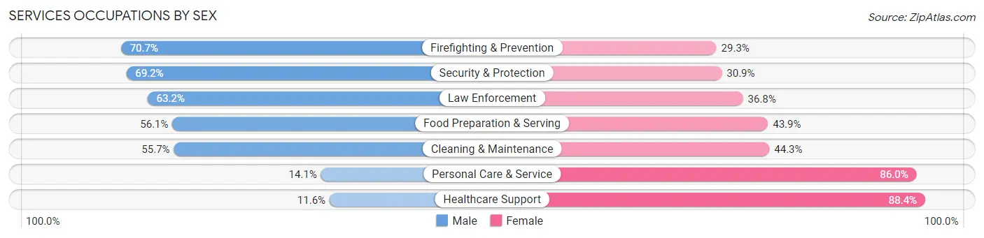 Services Occupations by Sex in Sawyer County