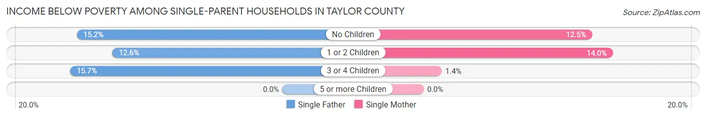 Income Below Poverty Among Single-Parent Households in Taylor County