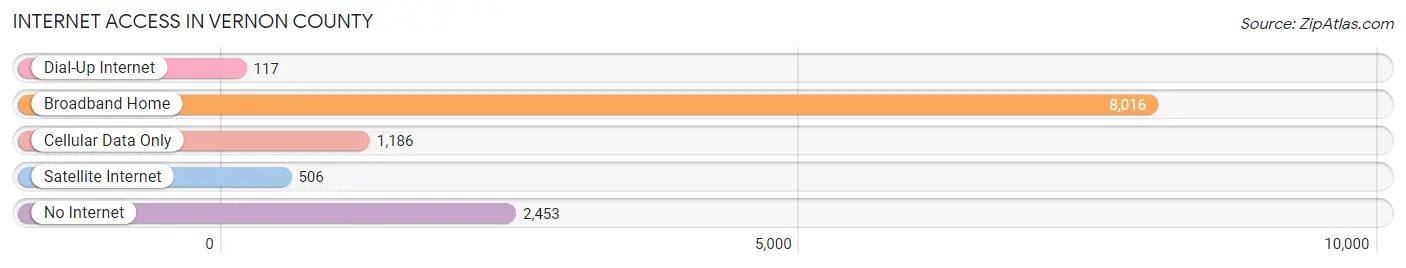Internet Access in Vernon County