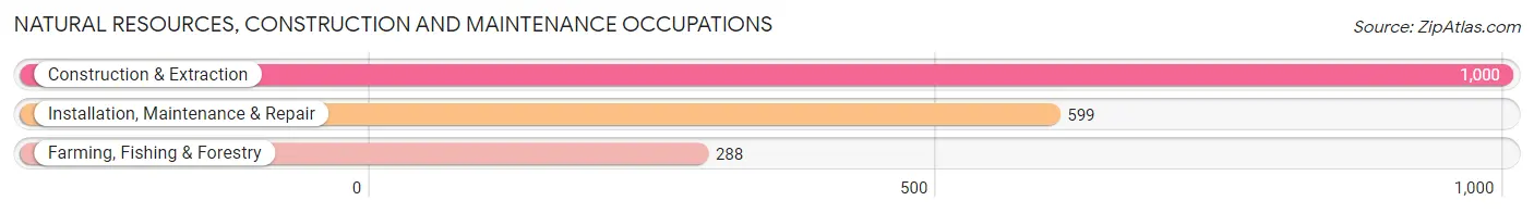 Natural Resources, Construction and Maintenance Occupations in Vernon County