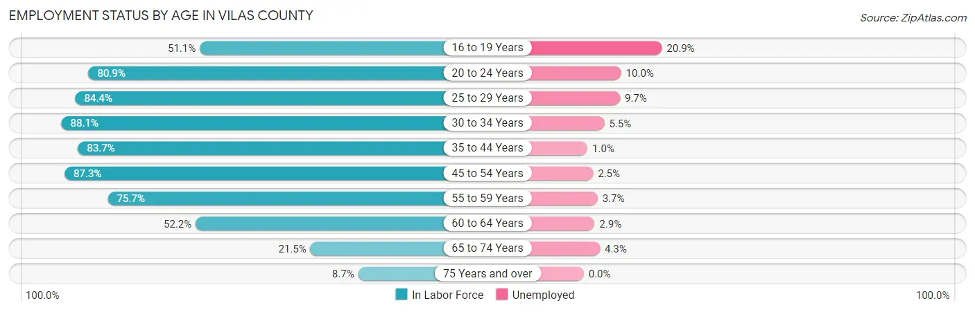 Employment Status by Age in Vilas County