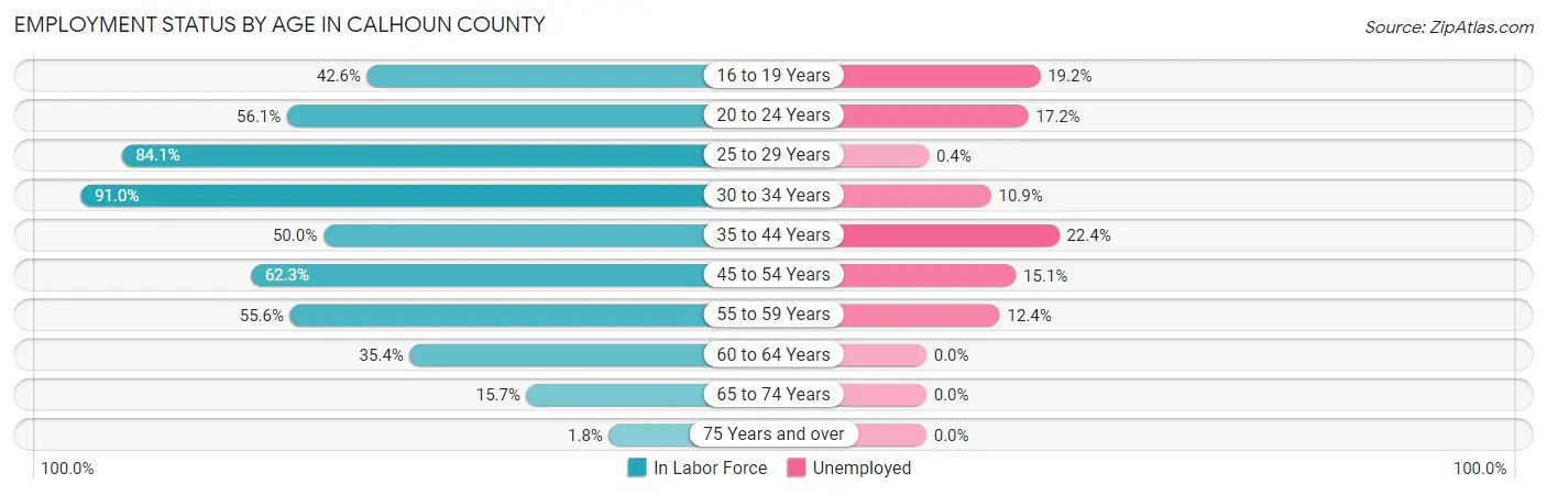Employment Status by Age in Calhoun County