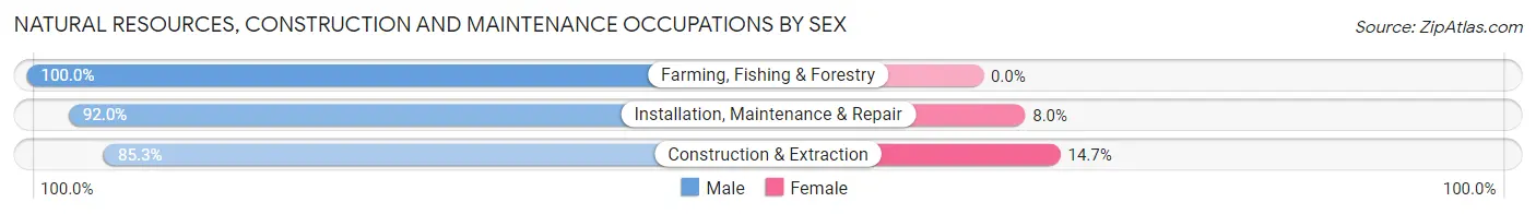 Natural Resources, Construction and Maintenance Occupations by Sex in Doddridge County