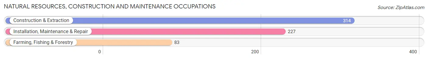 Natural Resources, Construction and Maintenance Occupations in Hardy County
