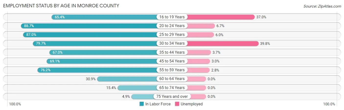 Employment Status by Age in Monroe County