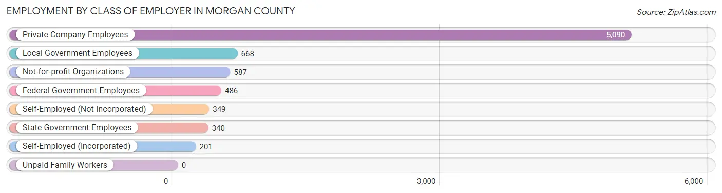 Employment by Class of Employer in Morgan County
