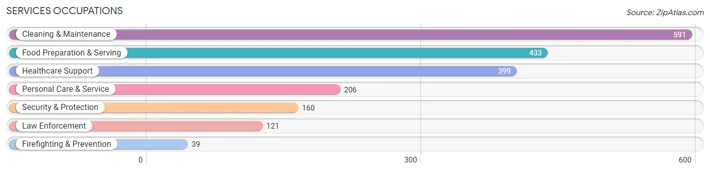 Services Occupations in Morgan County