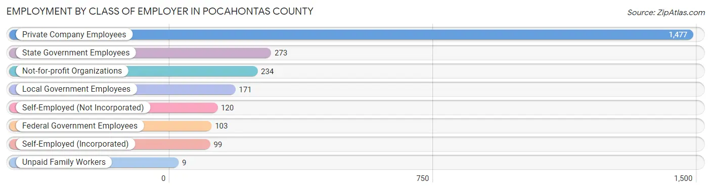 Employment by Class of Employer in Pocahontas County