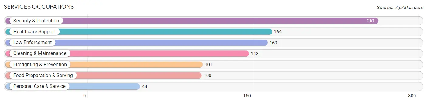 Services Occupations in Summers County