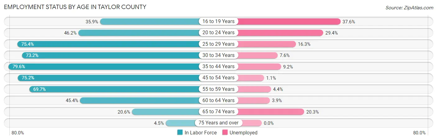 Employment Status by Age in Taylor County