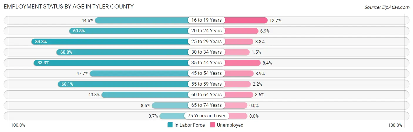 Employment Status by Age in Tyler County