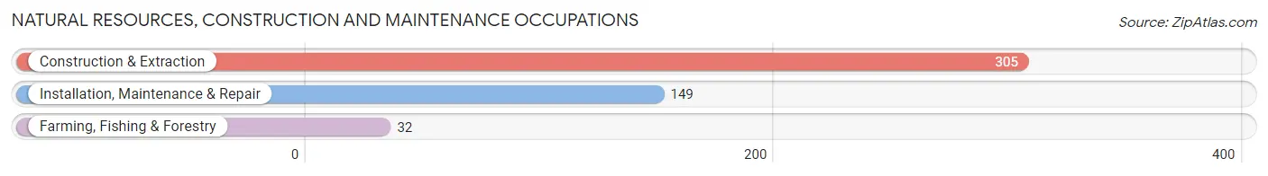 Natural Resources, Construction and Maintenance Occupations in Tyler County